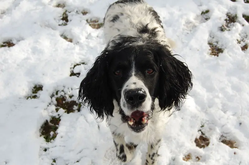 Andachtsbild von Annette mit Biko