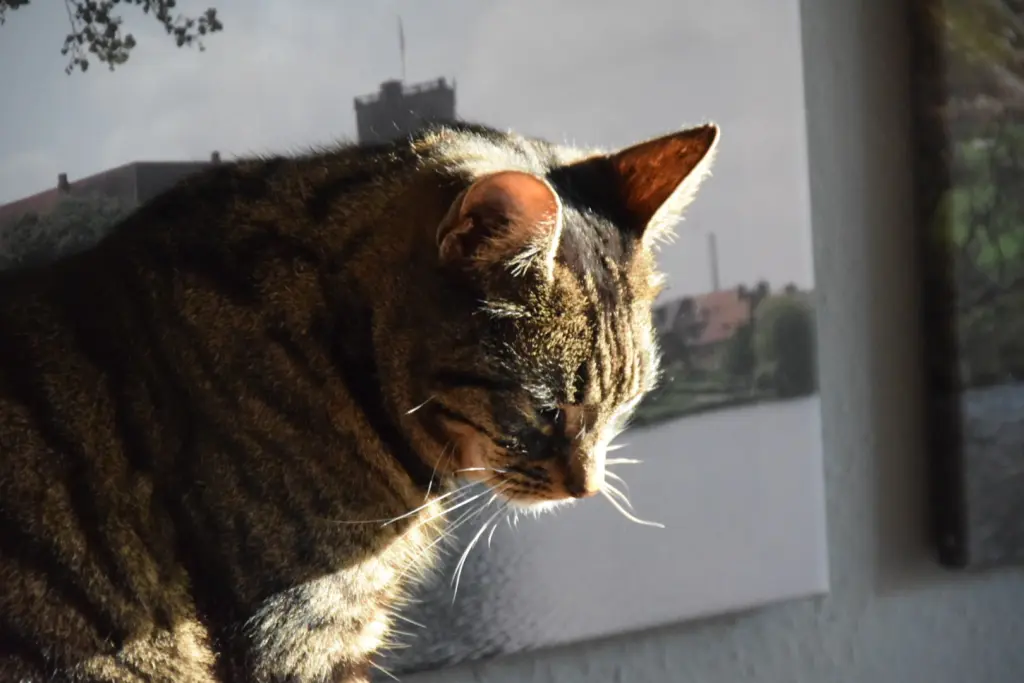 Andachtsbild von Marcel Unterfranz