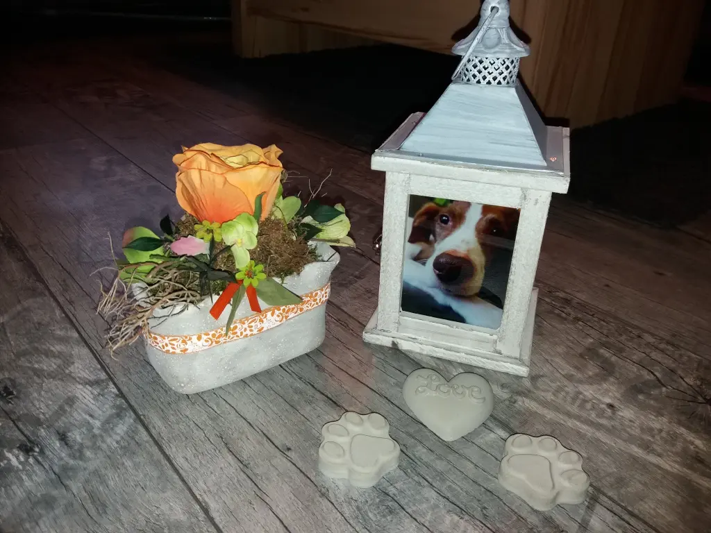 Condolence image of Cindy Gerlach