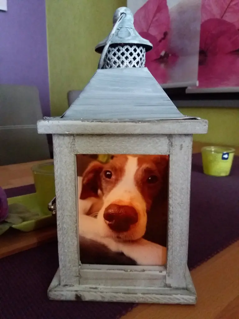 Condolence image of Cindy Gerlach