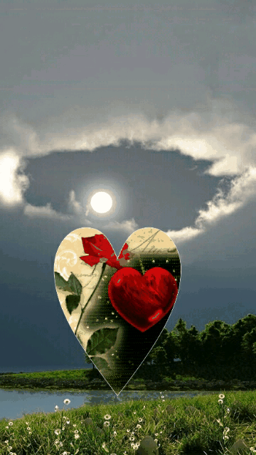 Image from Zoe