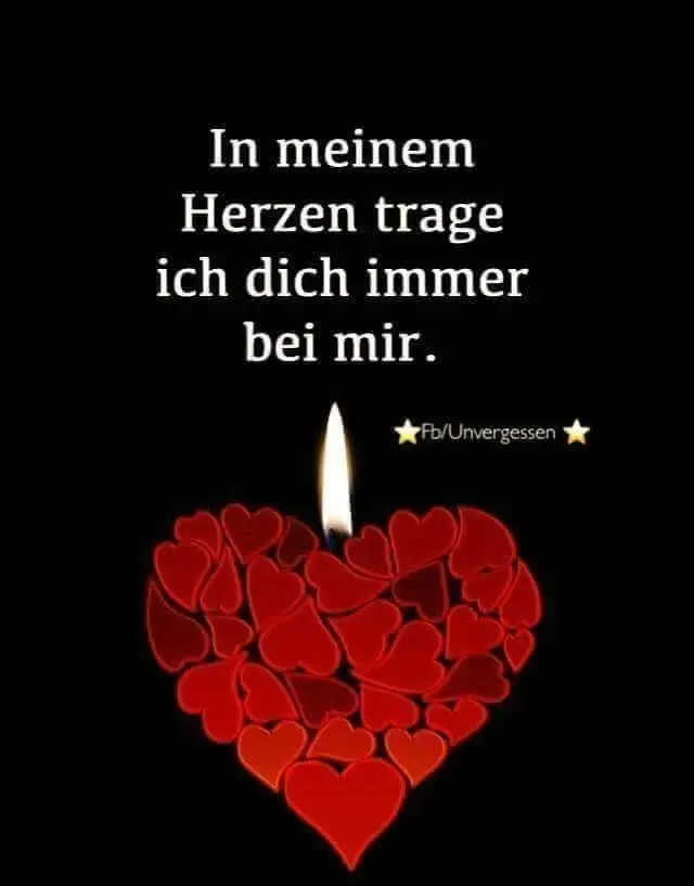 Image from Zoe