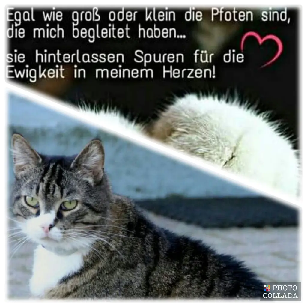 Image from Odin