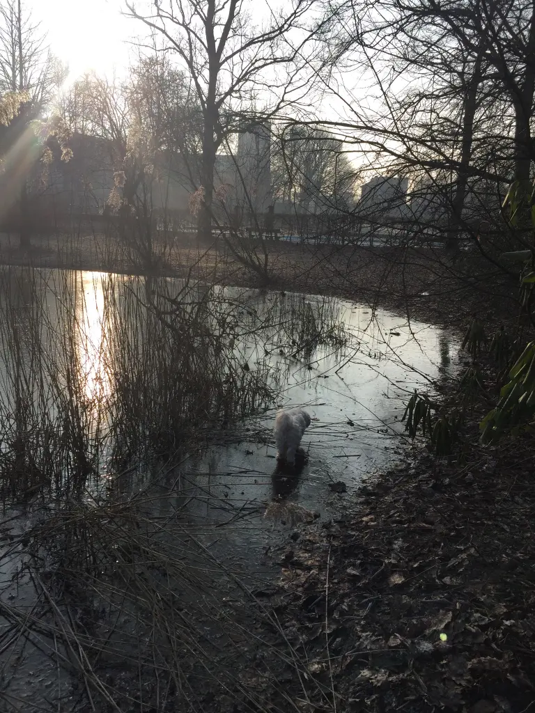 Andachtsbild von Mara & Flocke