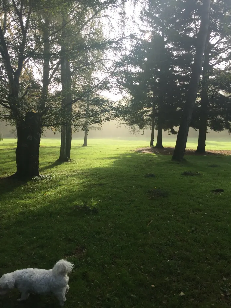 Andachtsbild von Flocke und Mara