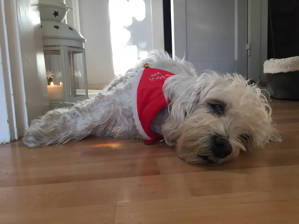 Andachtsbild von Unbekannt