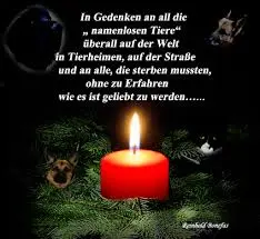 Andachtsbild von Brigitte mit Nelly, Benny und Axel im Herzen