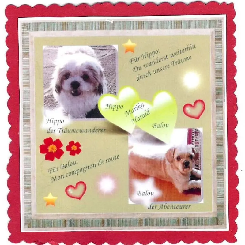 Andachtsbild von Marika mit Hippo & Balou im Herzen