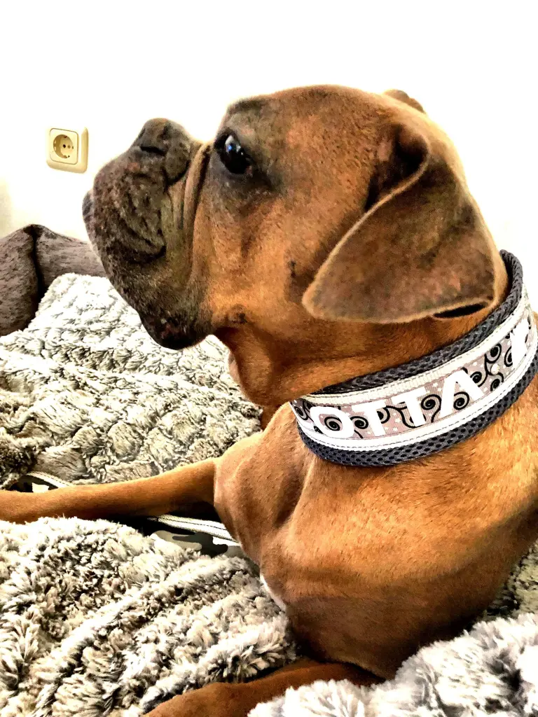 Andachtsbild von A&H