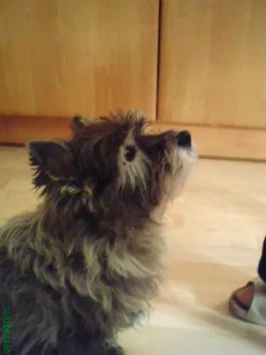 Bild von Jenny