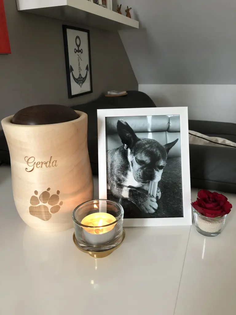 Condolence image of Stefanie
