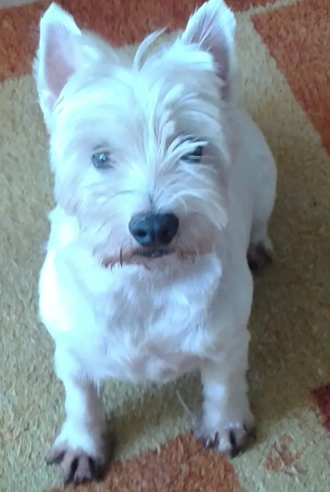 Condolence image of Andres & Birgit