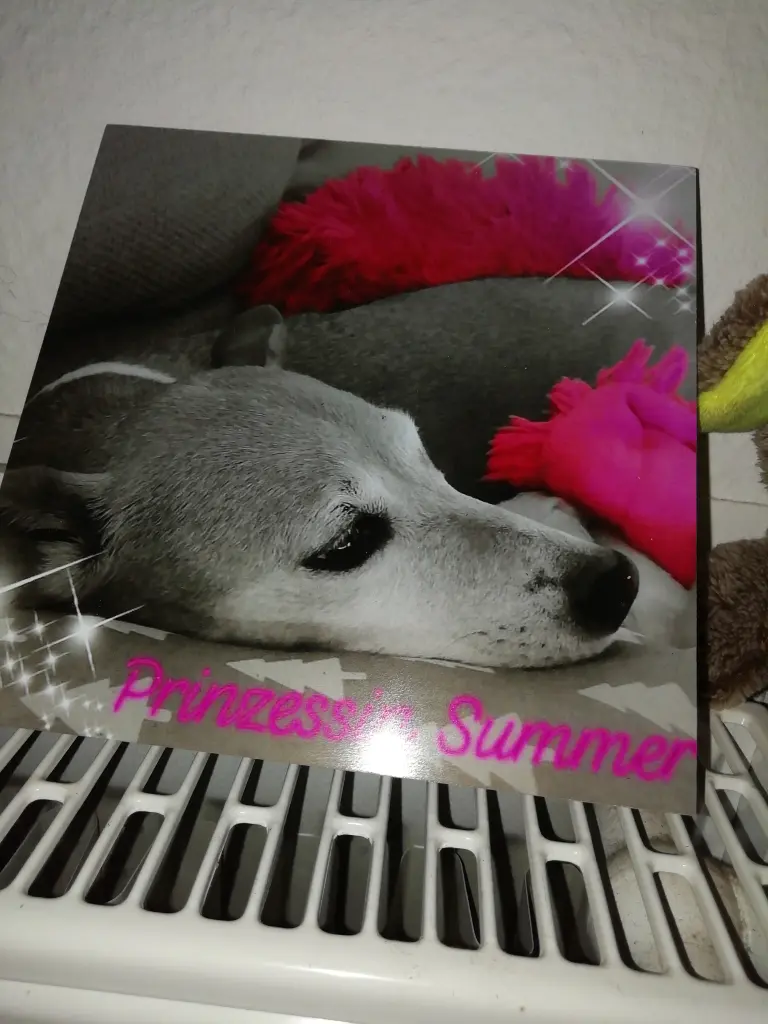 Image from Summer 