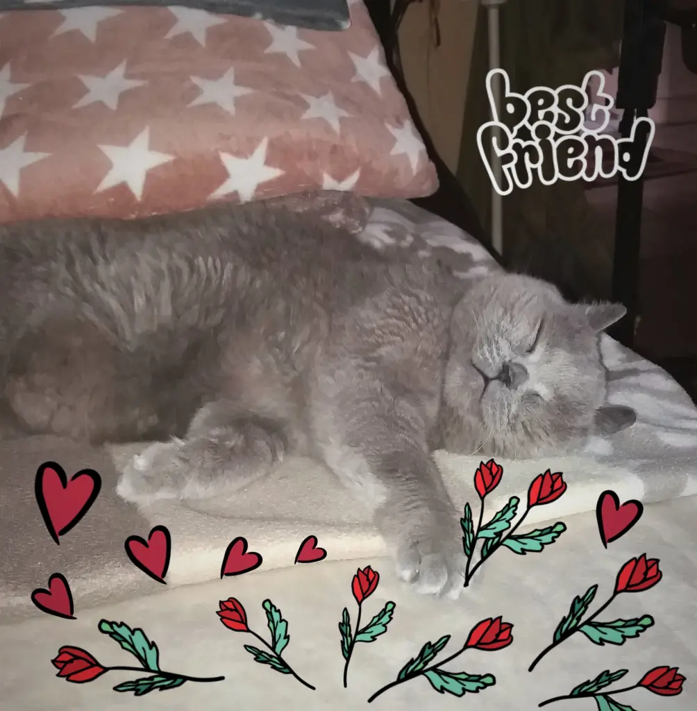 Andachtsbild von Sabine mit Kaspar tief im Herzen