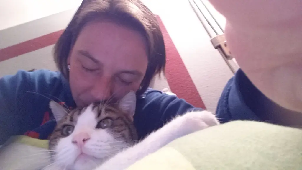 Andachtsbild von Von Deinem Frauchen Tanja