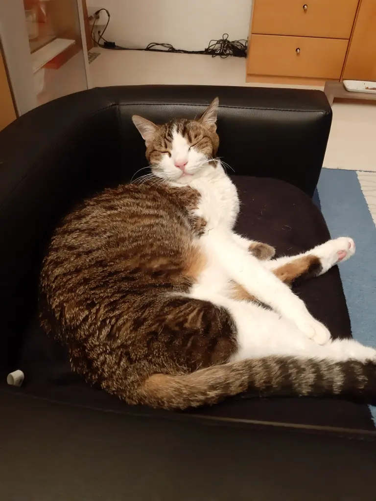 Andachtsbild von Tanja mit Timmy im Herzen 