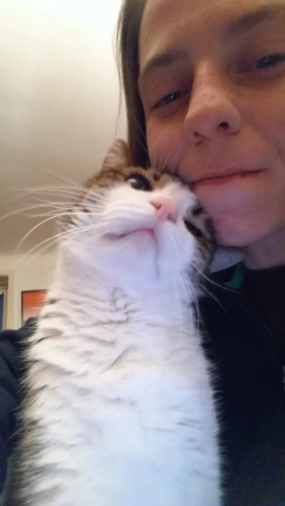 Andachtsbild von Von Deinem Frauchen Tanja