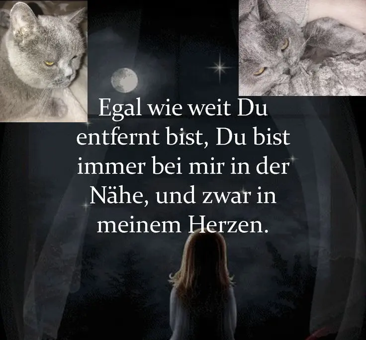 Condolence image of Sabine mit Kaspar tief im Herzen 