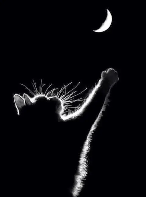 Condolence image of Ellen mit Lina ♥️