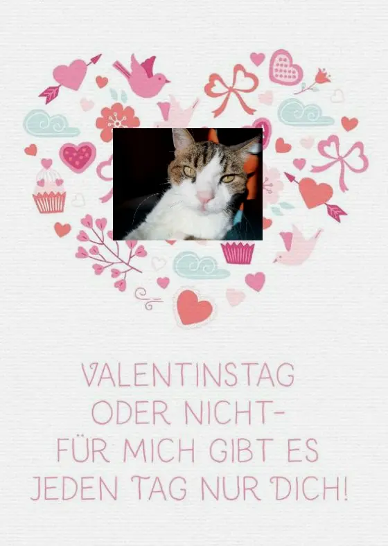 Condolence image of Sabine mit Kaspar tief im Herzen 