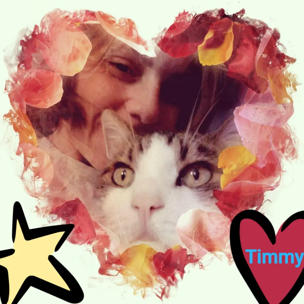 Condolence image of Ellen mit Lina ♥️