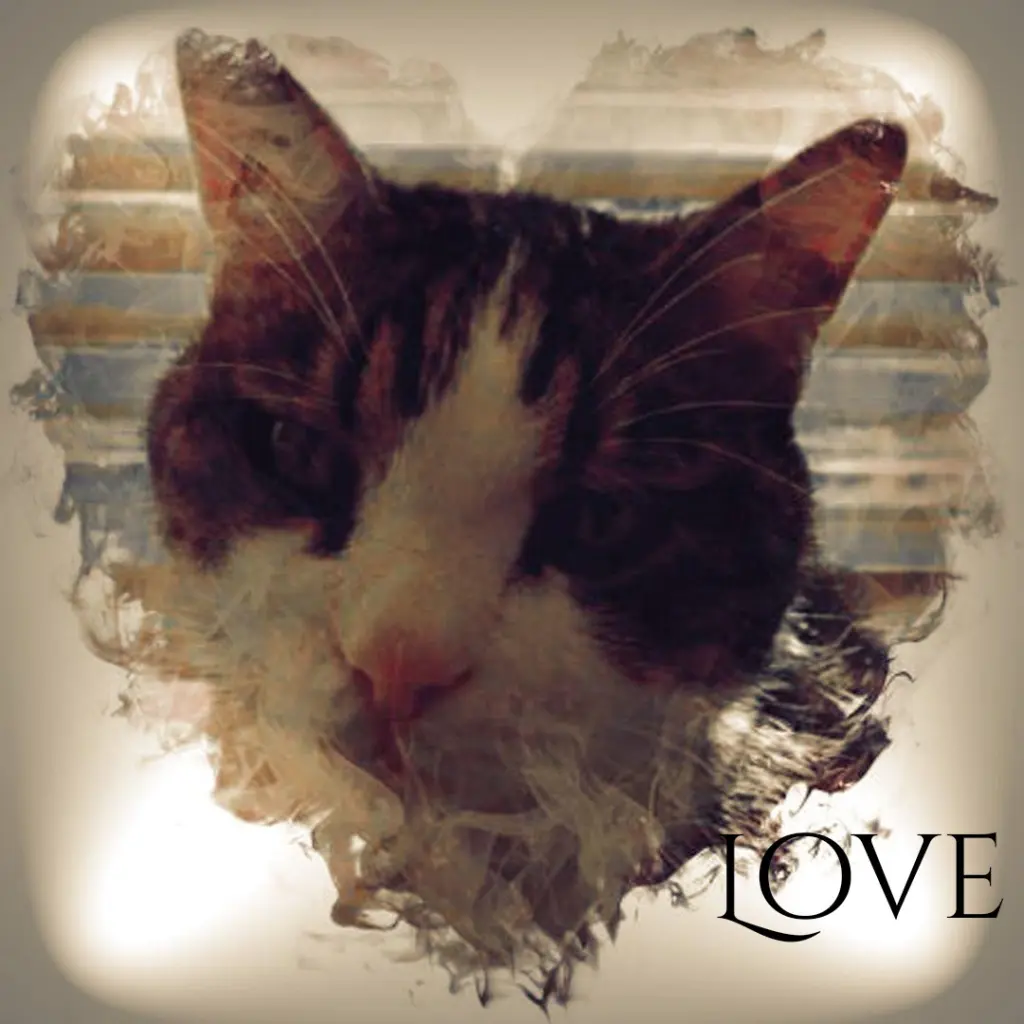 Condolence image of Ellen mit Lina ♥️