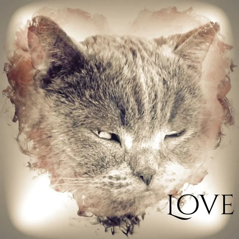 Condolence image of Sabine mit Kaspar tief im Herzen 