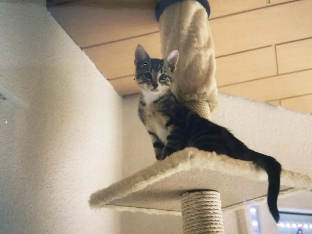 Condolence image of Christiane m. Moritz i. ♥️