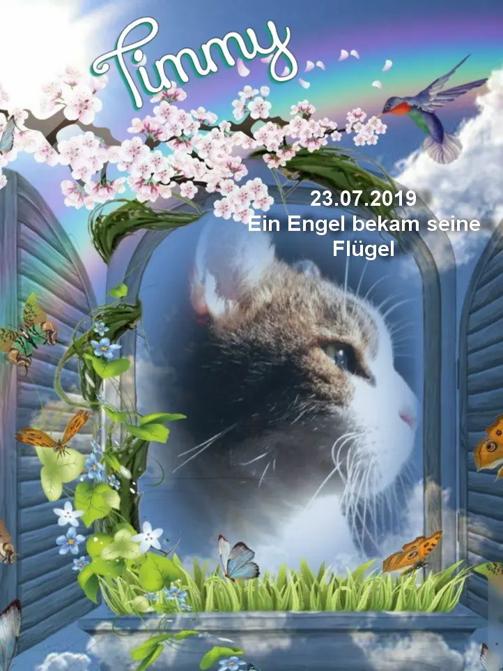 Condolence image of Sabine mit Kaspar tief im Herzen