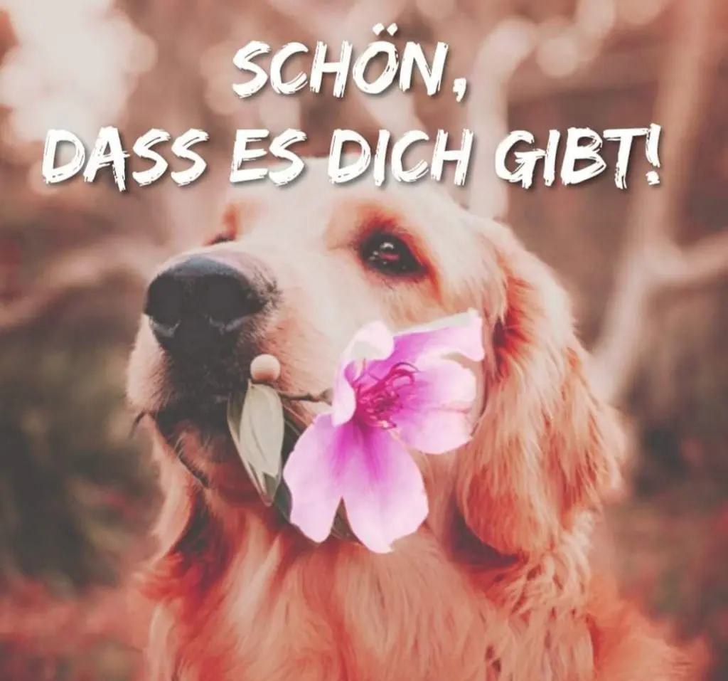 Condolence image of Ellen mit Lina ♥️