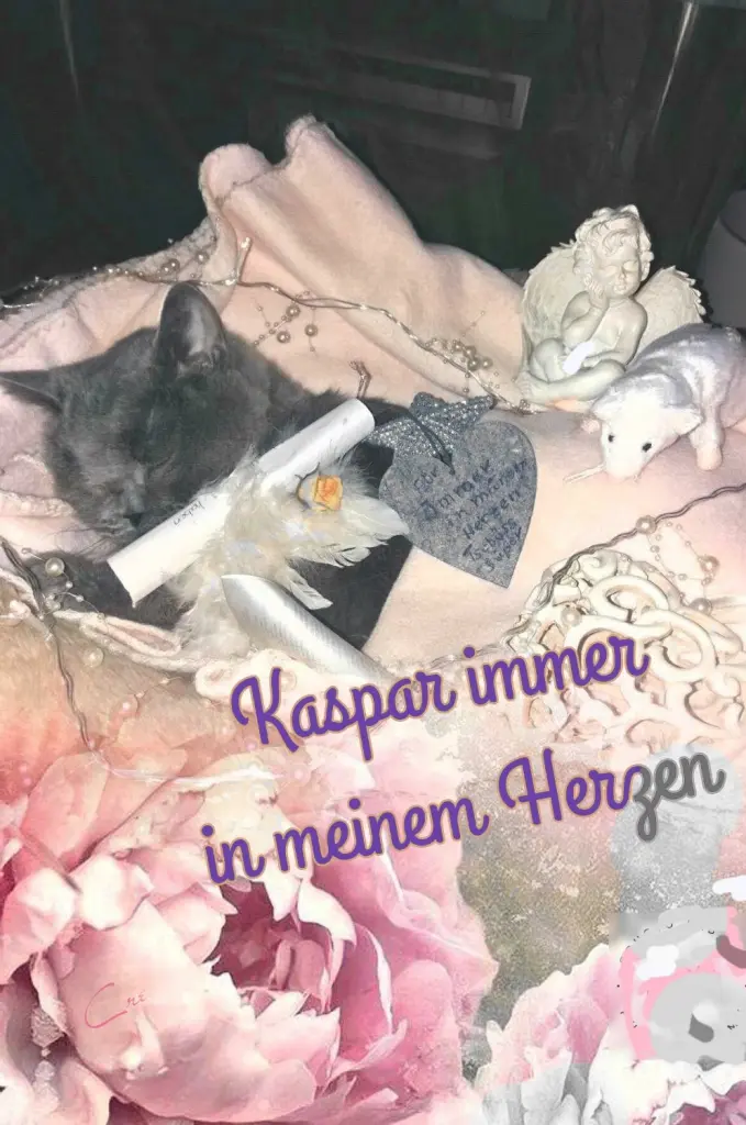 Condolence image of Sabine mit Kaspar tief im Herzen