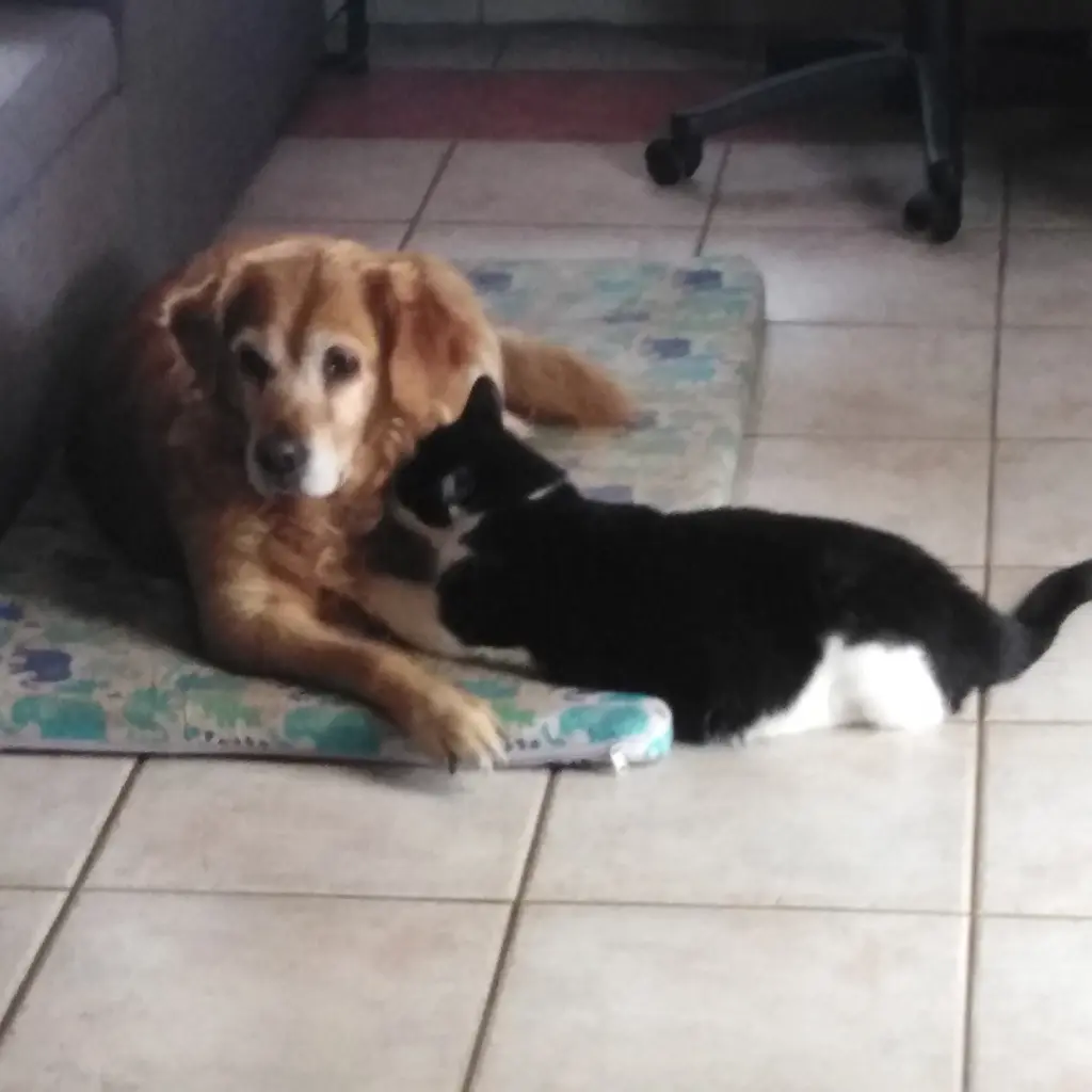 Condolence image of Ellen mit Lina ♥️