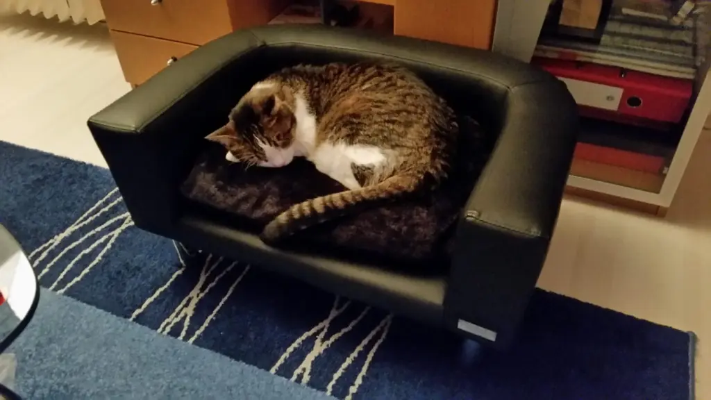 Condolence image of Von Deinem Frauchen Tanja