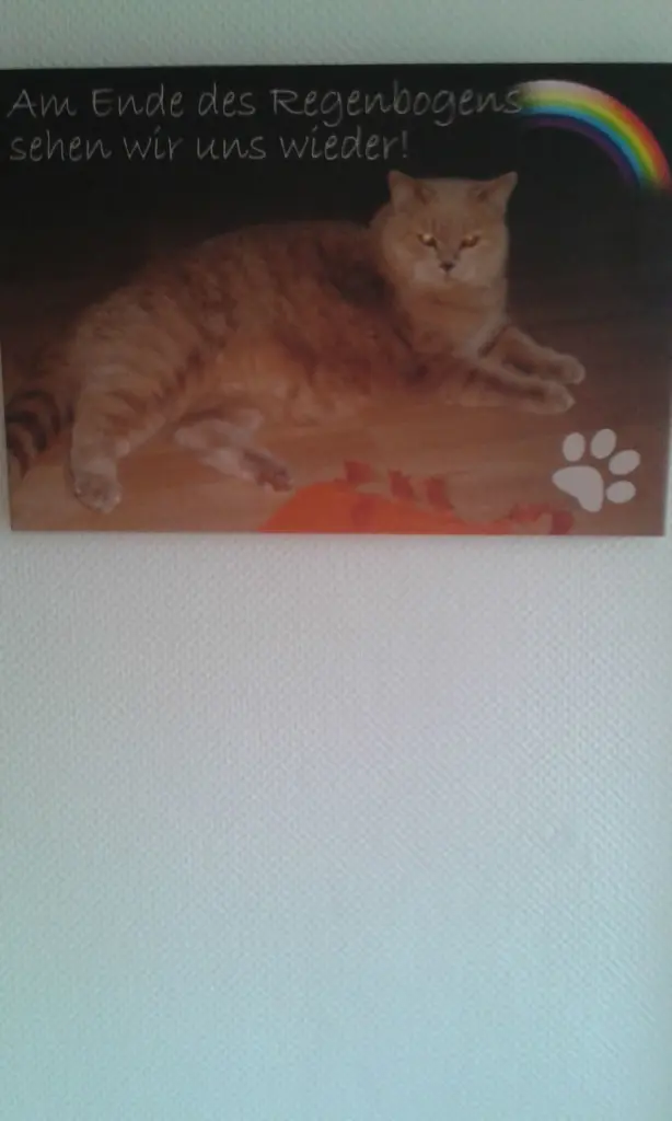 Condolence image of Unbekannt