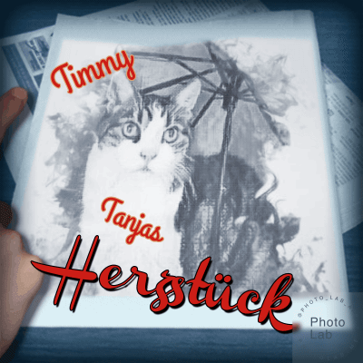 Condolence image of Sabine mit Kaspar tief im Herzen 