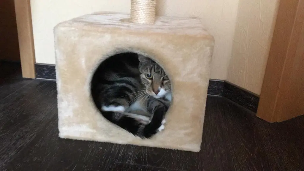 Condolence image of Christiane m. Moritz i. ♥️