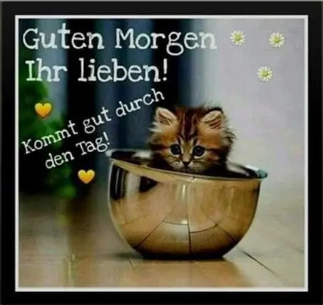 Condolence image of Ellen mit Lina ♥️