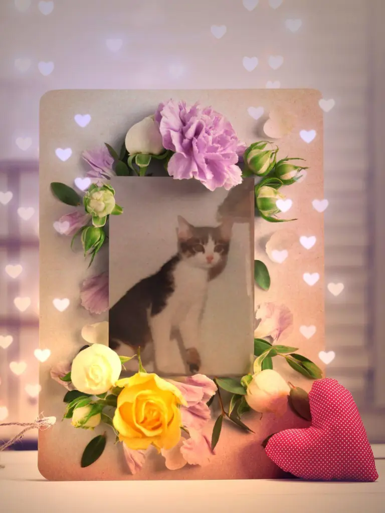 Condolence image of Ellen mit Lina ♥️