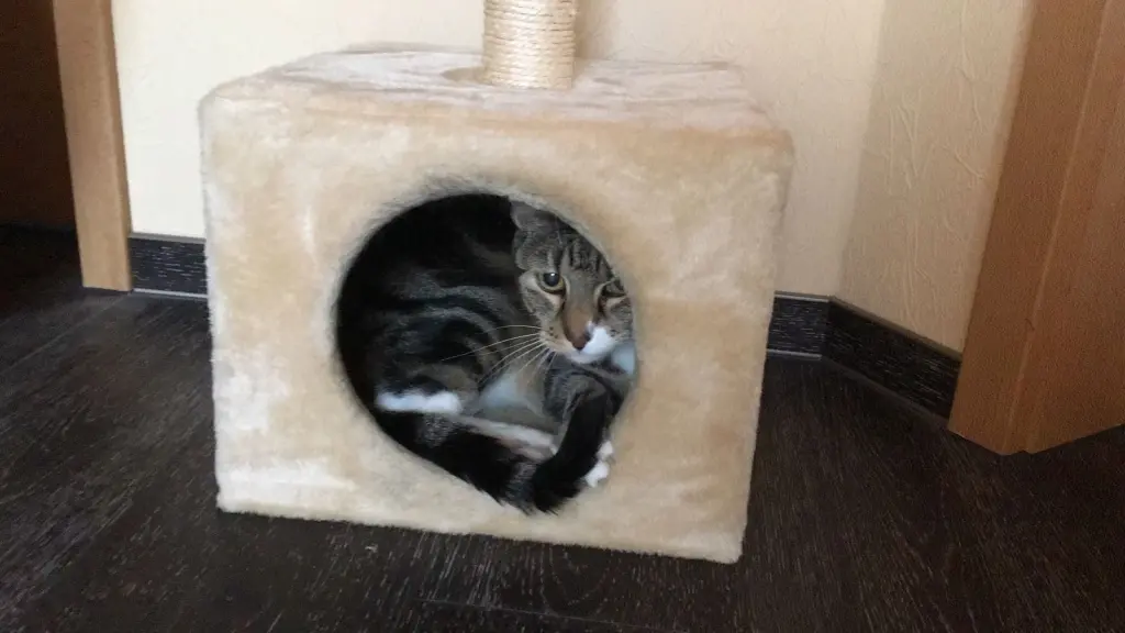 Condolence image of Christiane m. Moritz i.♥️