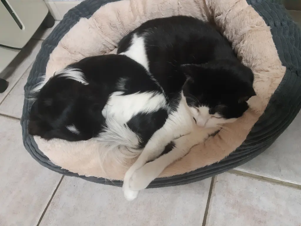 Condolence image of Ellen mit Lina ♥️