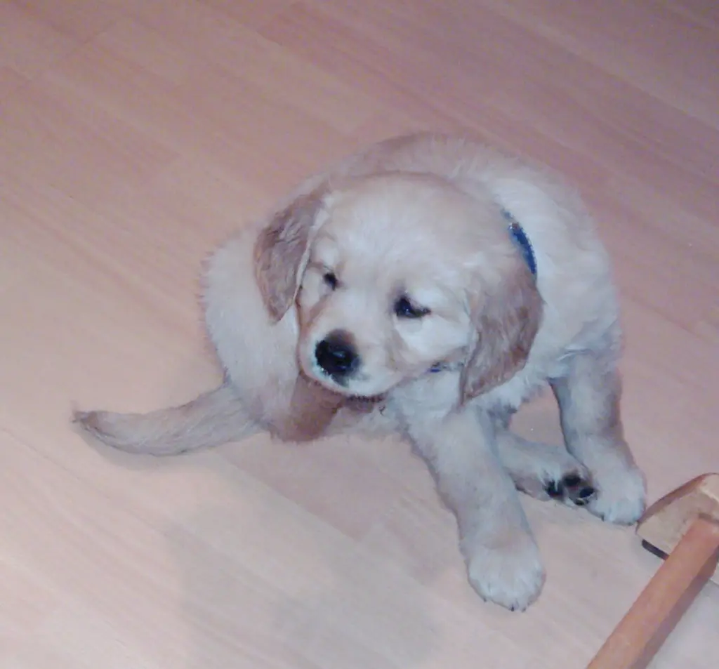 Condolence image of Ellen mit Lina ♥️