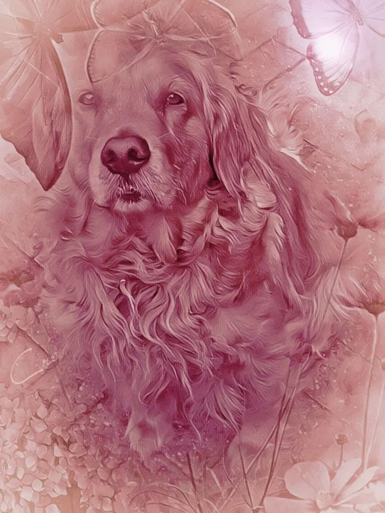 Condolence image of Ellen mit Lina ♥️