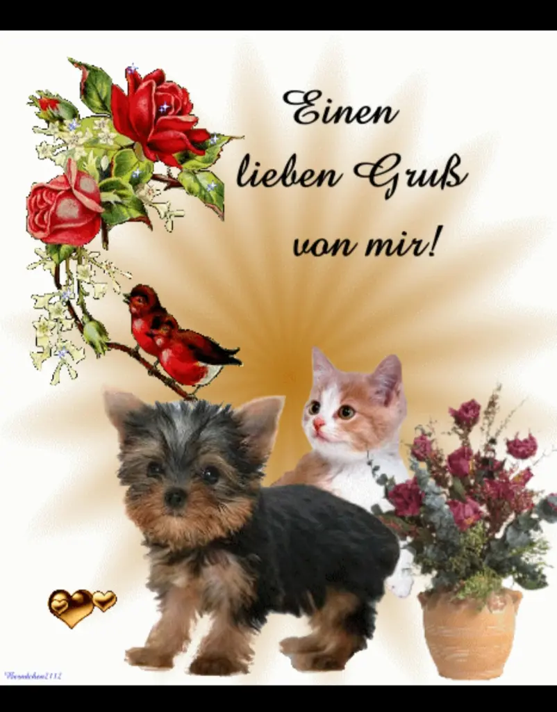 Condolence image of Ellen mit Lina ♥️