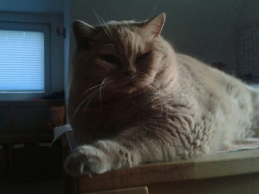 Condolence image of Unbekannt