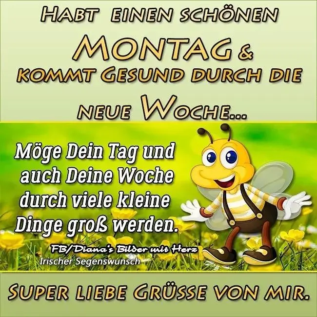 Condolence image of Sabine mit Kaspar tief im Herzen 