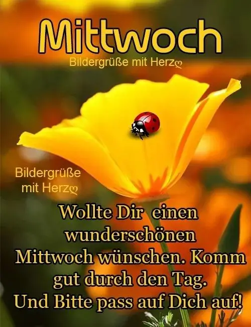 Condolence image of Sabine mit Kaspar tief im Herzen