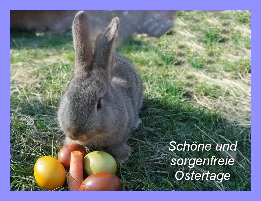 Condolence image of Sabine mit Kaspar tief im Herzen