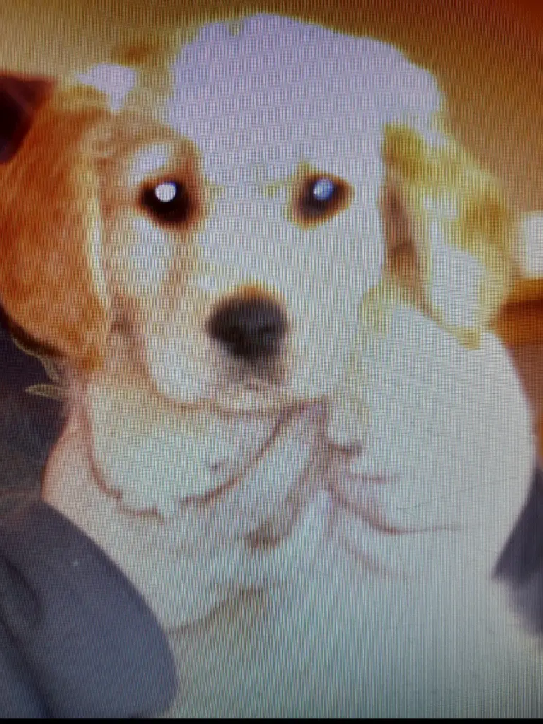 Condolence image of Ellen mit Lina ♥️