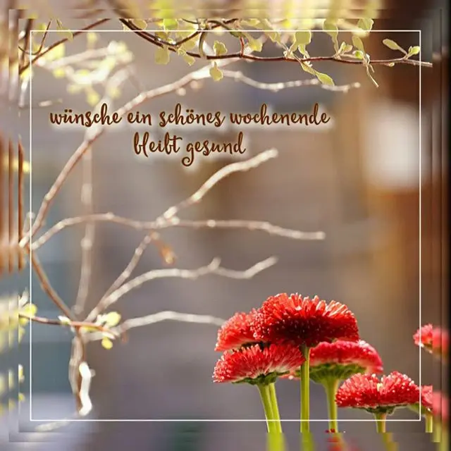 Condolence image of Sabine mit Kaspar tief im Herzen 