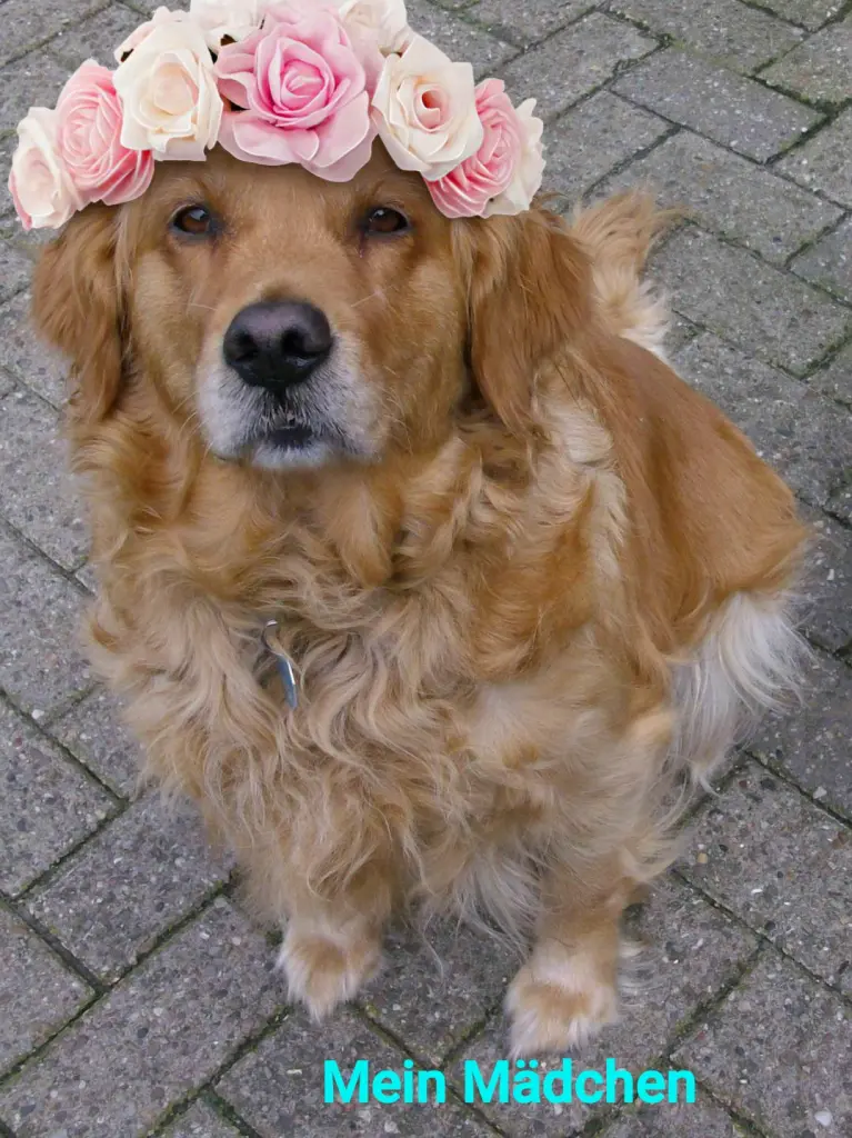 Condolence image of Ellen mit Lina ♥️